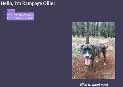 Screenshot of Hand-crafted Website project